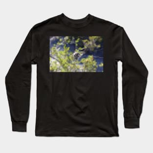 Spider in a Web Long Sleeve T-Shirt
